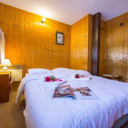 Lejlighed Residence Grand Roc - Campanules 114 - Happy Rentals Chamonix